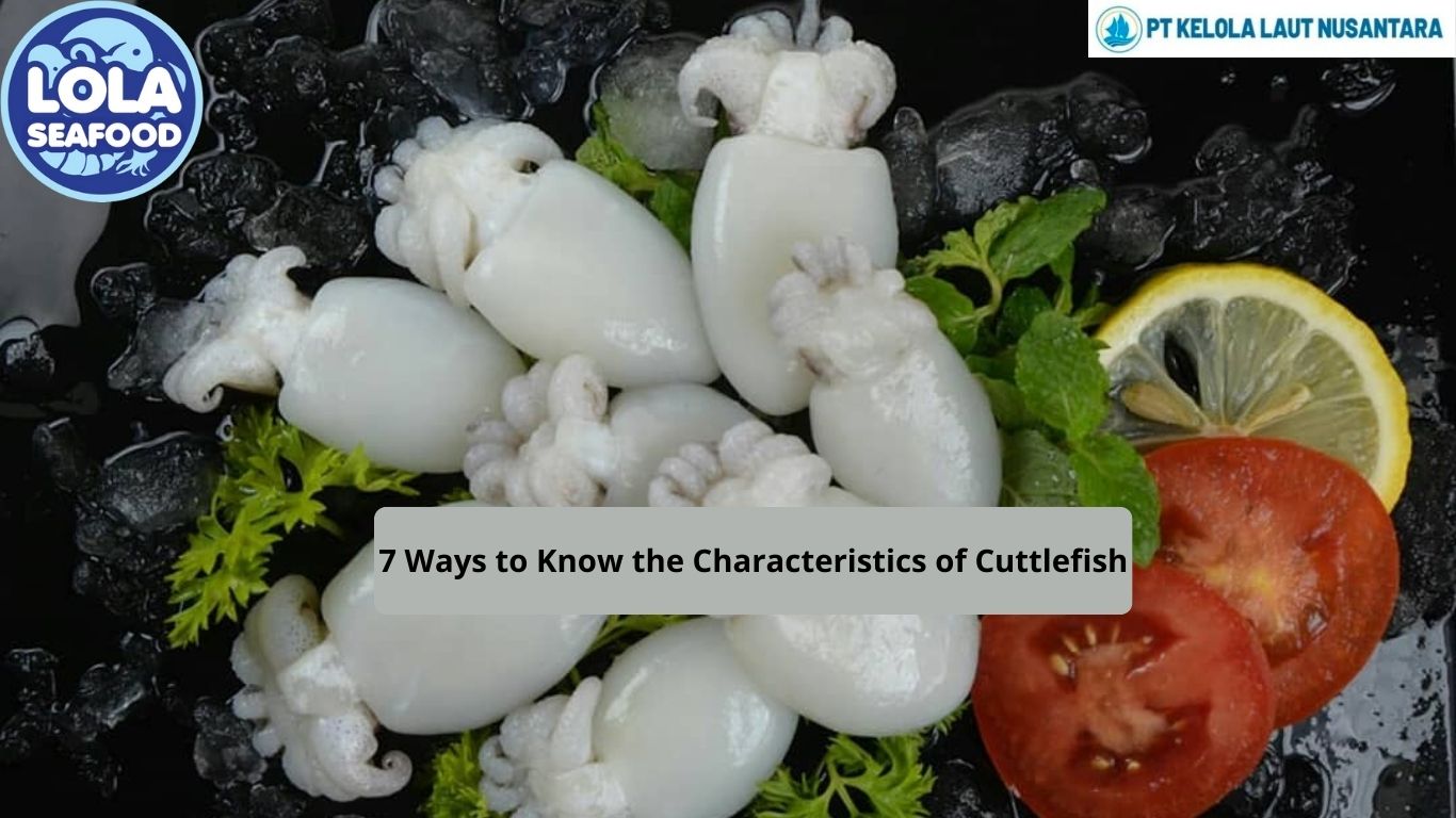 7 Ways to Know the Characteristics of Cuttlefish